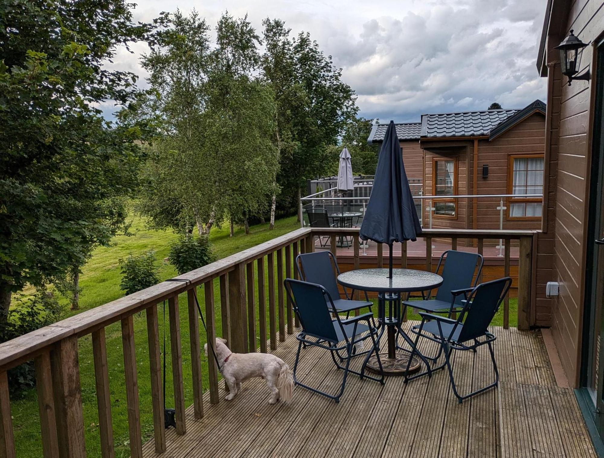 Rustic Lodge Retreat At Riverview Holiday Park Newcastleton Esterno foto