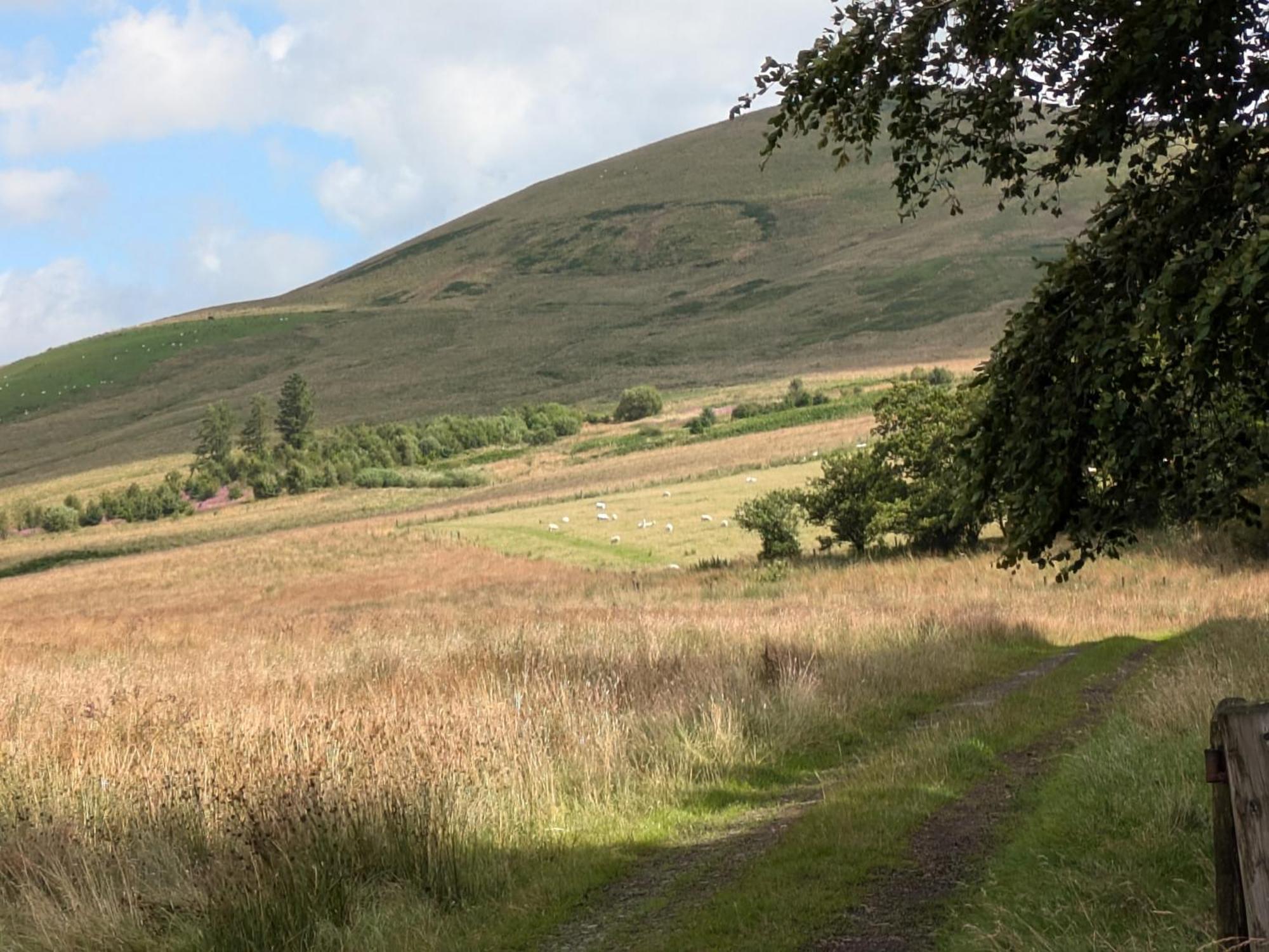Rustic Lodge Retreat At Riverview Holiday Park Newcastleton Esterno foto