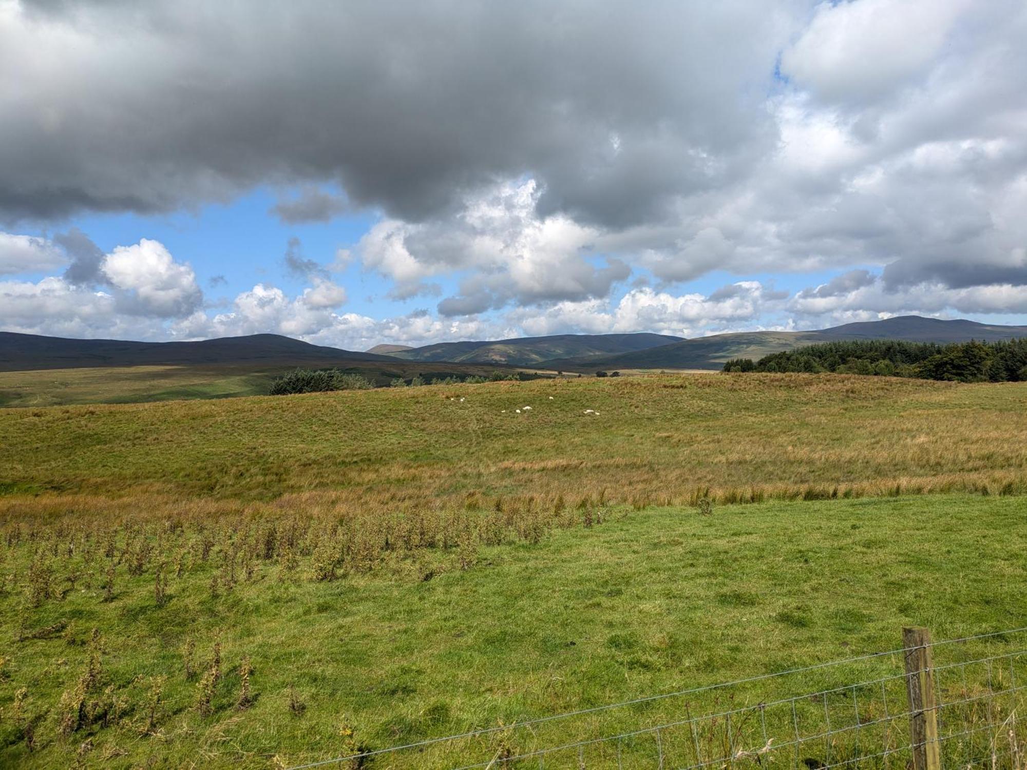 Rustic Lodge Retreat At Riverview Holiday Park Newcastleton Esterno foto