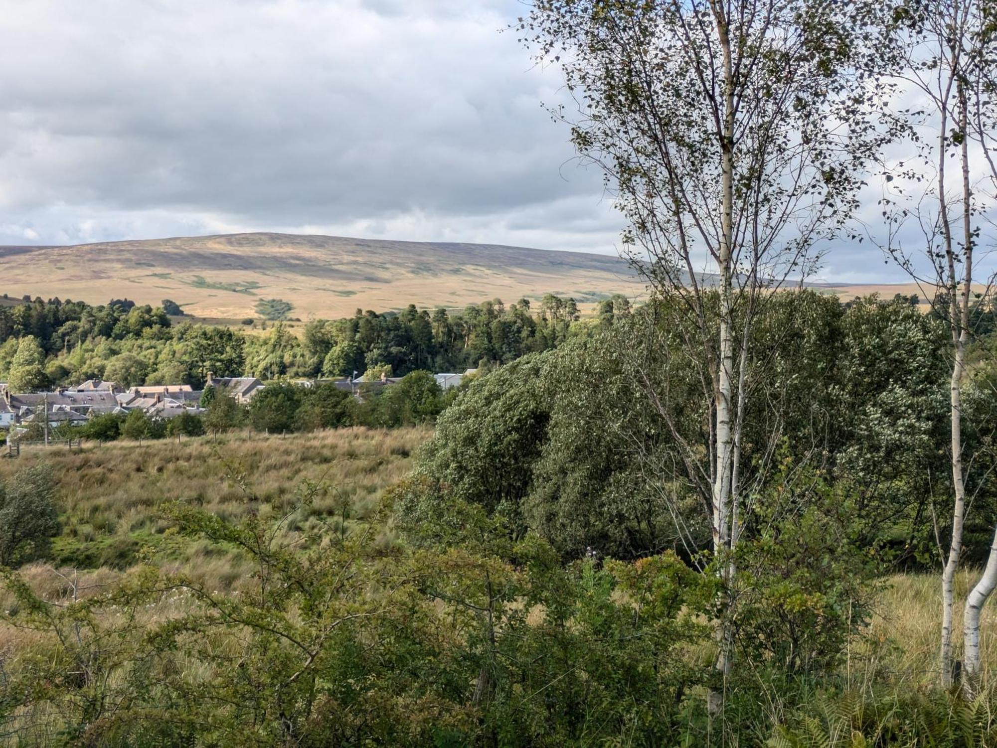 Rustic Lodge Retreat At Riverview Holiday Park Newcastleton Esterno foto
